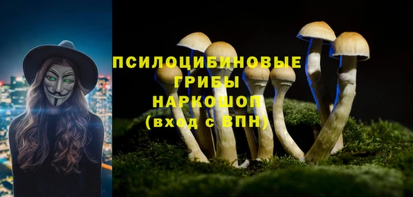 мяу мяу мука Алексеевка