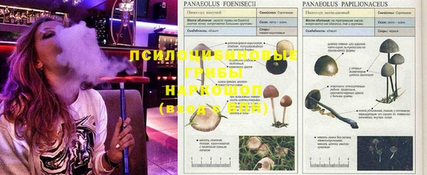 марки nbome Алексин