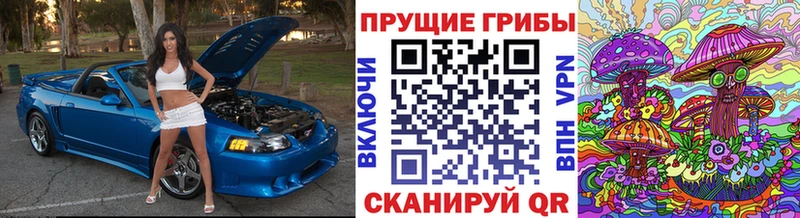Галлюциногенные грибы мухоморы  как найти   ссылка на мегу вход  Опочка 